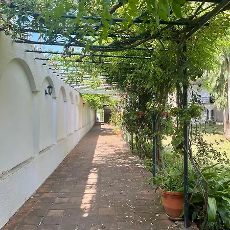 Puerto Banus Rene Daire Marbella